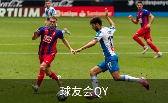 球友会QY介绍